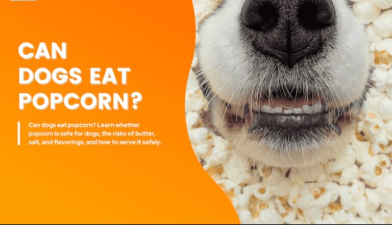 Can Dogs Eat Popcorn
