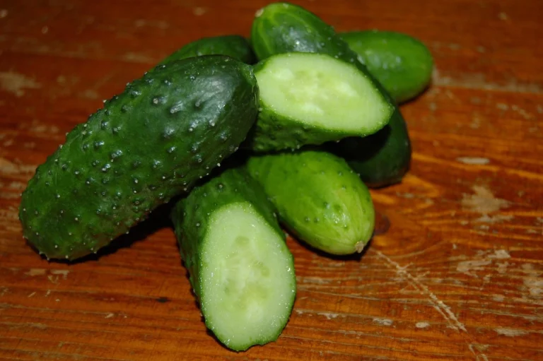 Can Dogs Eat Cucumber Skin