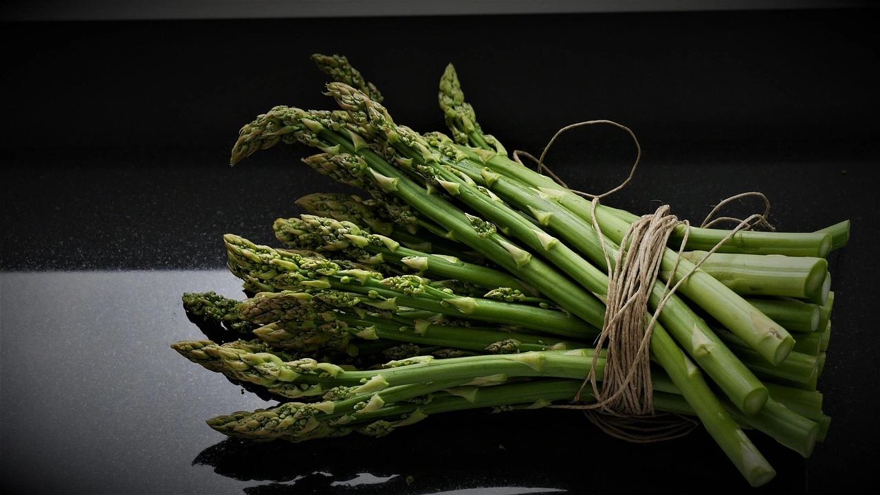 is asparagus good for dogs