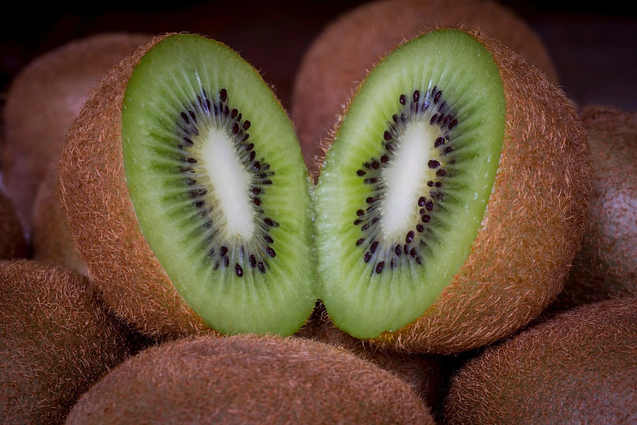 can dogs have kiwi seeds