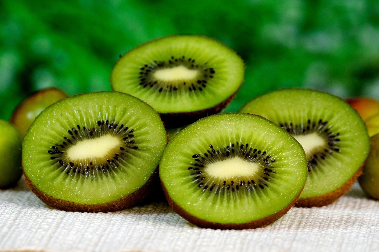 Can Dogs Eat Kiwi Fruit