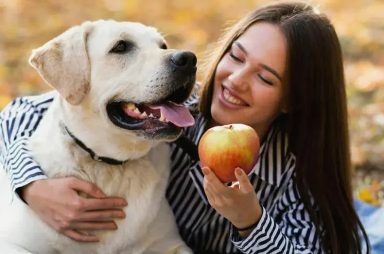 are apples good for dogs