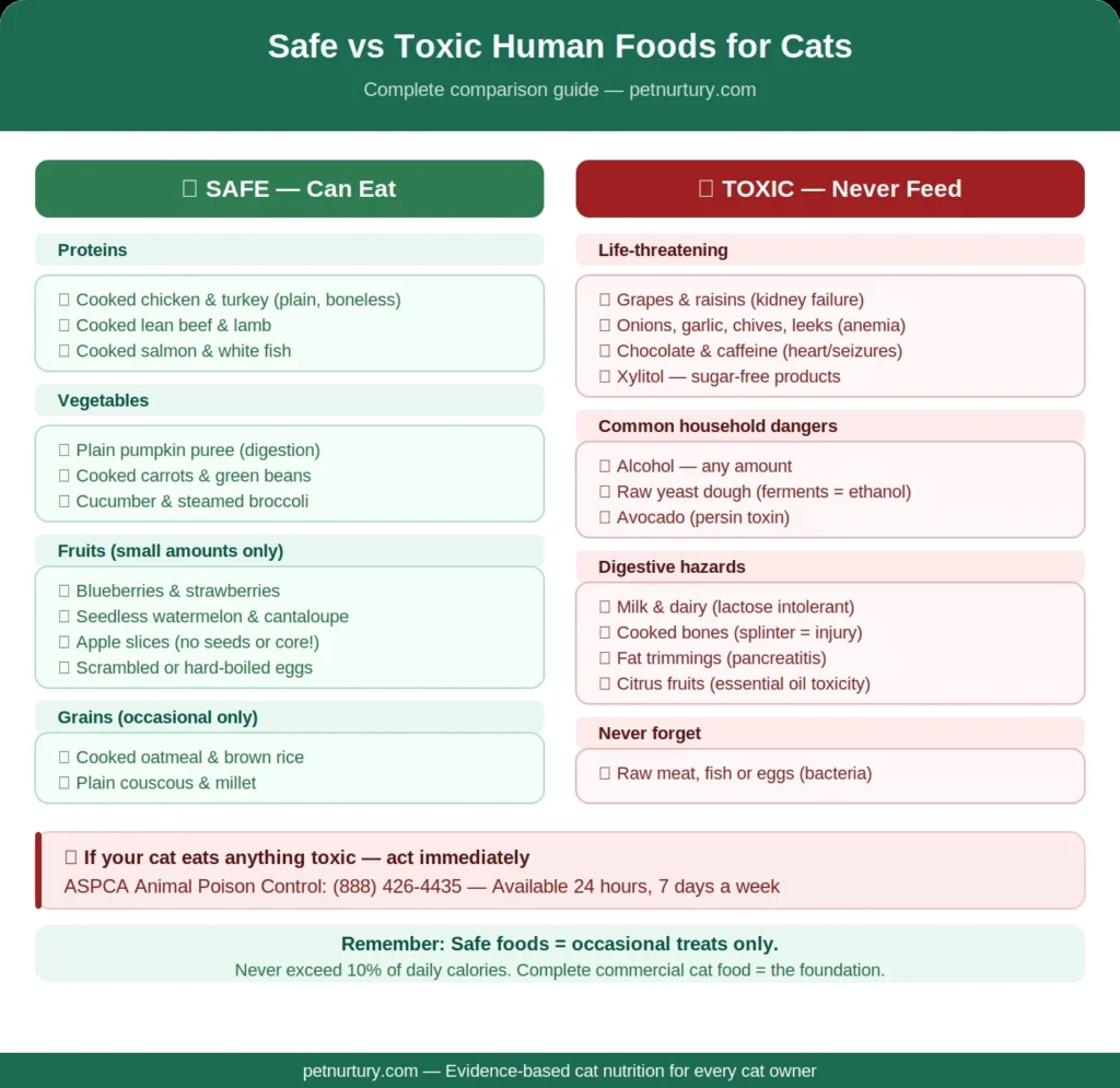 what human foods can cats eat