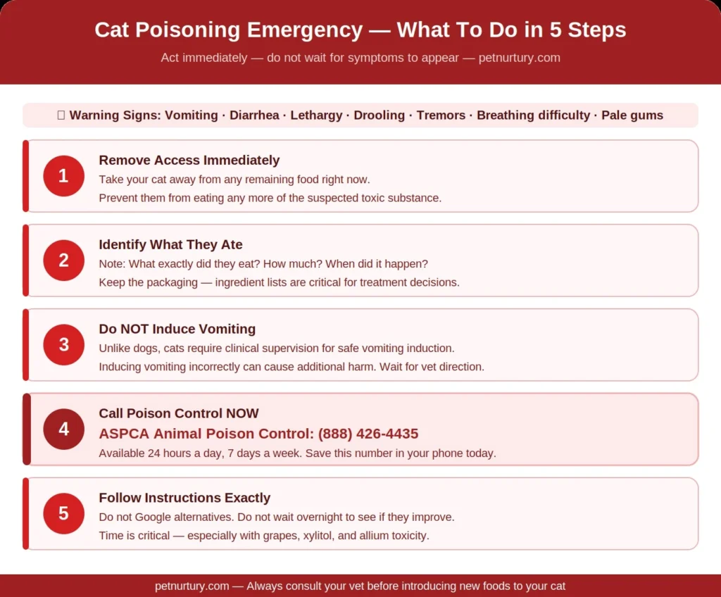 what human foods can cats eat
