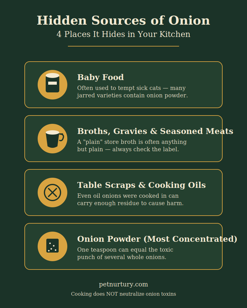 hidden sources of onion toxicity in cat