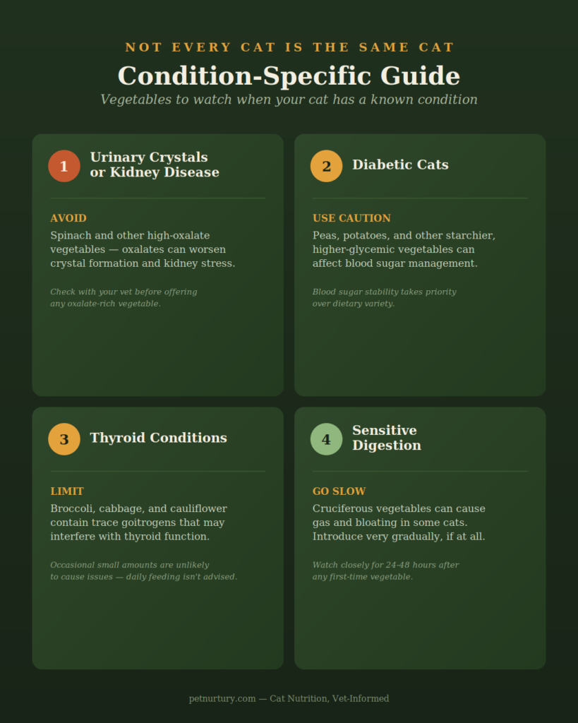Condition-Specific Vegetable Guide for Cats