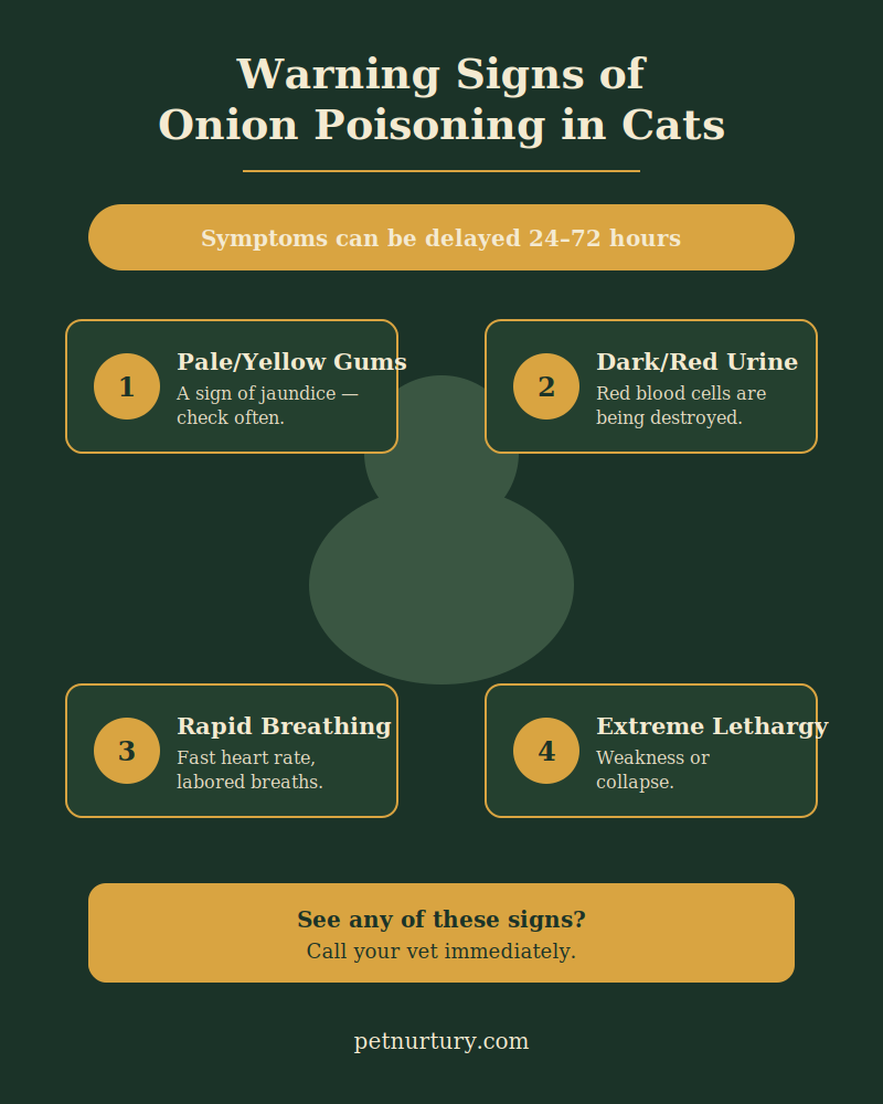 onion poisoning warning signs cats.