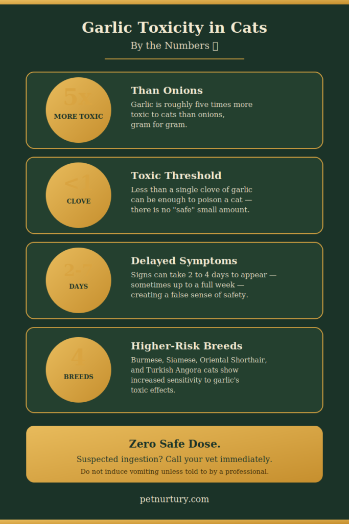 garlic toxicity in cats
