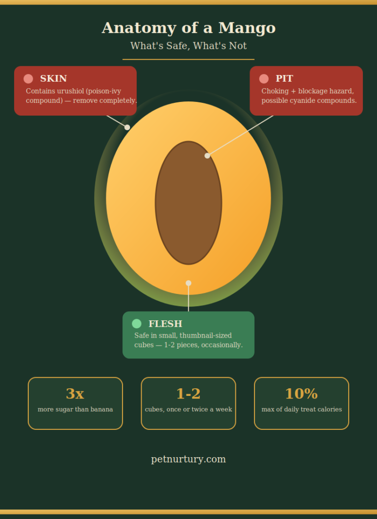 is mango safe for cats