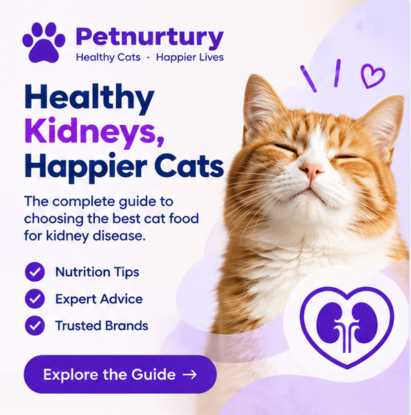 Petnurtury Cat Nutrition Guide