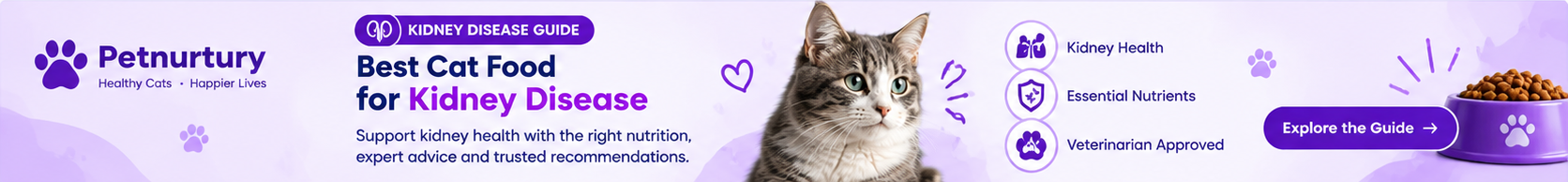 Petnurtury Cat Nutrition Guide