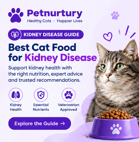 Petnurtury